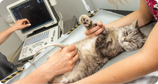 Us com excelência técnica e atenção aos detalhes