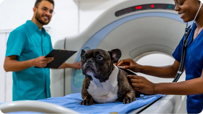 Quando a tomografia é indicada?