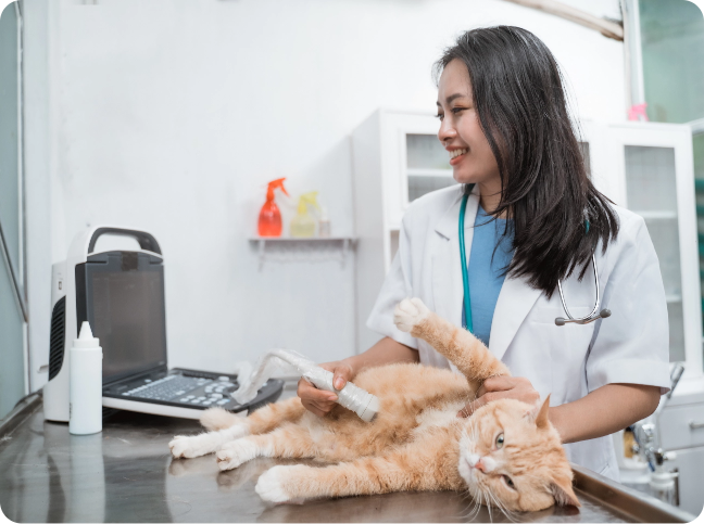 Por que tantos profissionais confiam na Climev?